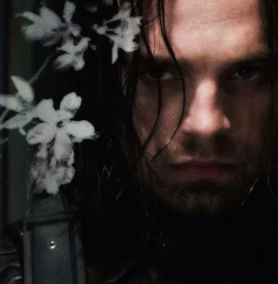 Bucky barnes
