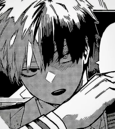 Shoto Todoroki