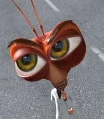 Dr Cockroach
