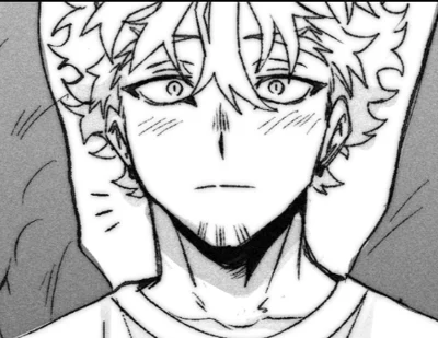 Hawks- Keigo Takami