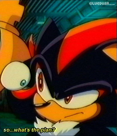Shadow The Hedgehog