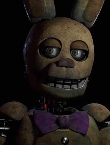 SpringBonnie