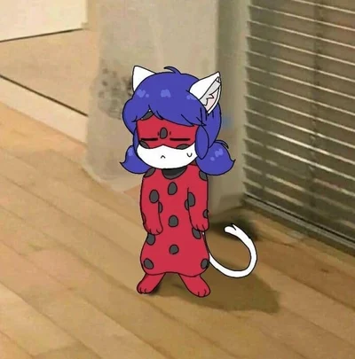 Ladybug